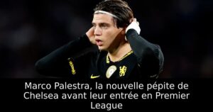 Marco Palestra, la nouvelle pépite de Chelsea avant leur entrée en Premier League