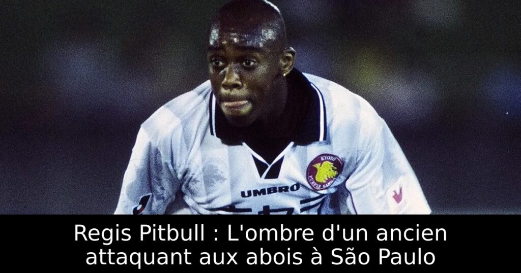 Regis Pitbull : L&rsquo;ombre d&rsquo;un ancien attaquant aux abois à São Paulo