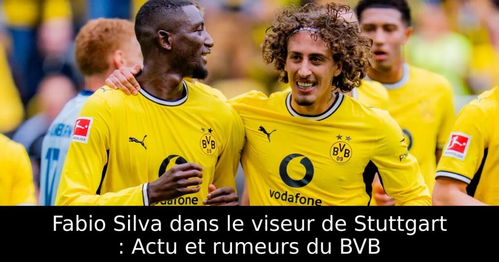Fabio Silva dans le viseur de Stuttgart : Actu et rumeurs du BVB