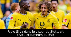 Fabio Silva dans le viseur de Stuttgart : Actu et rumeurs du BVB