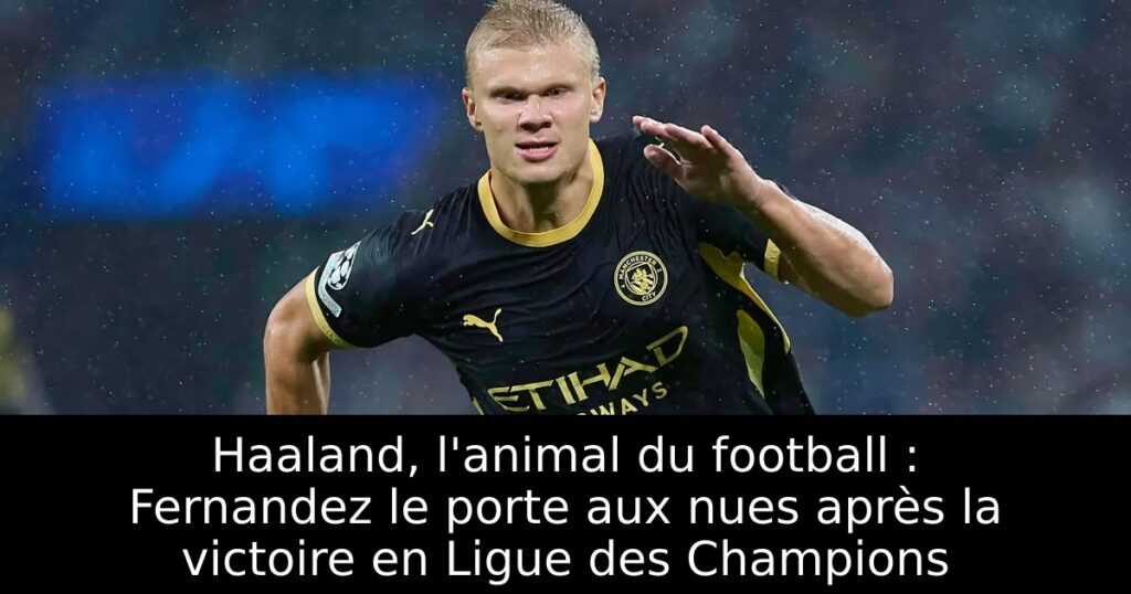 Haaland, l&rsquo;animal du football : Fernandez le porte aux nues après la victoire en Ligue des Champions
