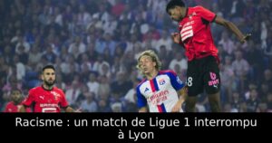 Racisme : un match de Ligue 1 interrompu à Lyon