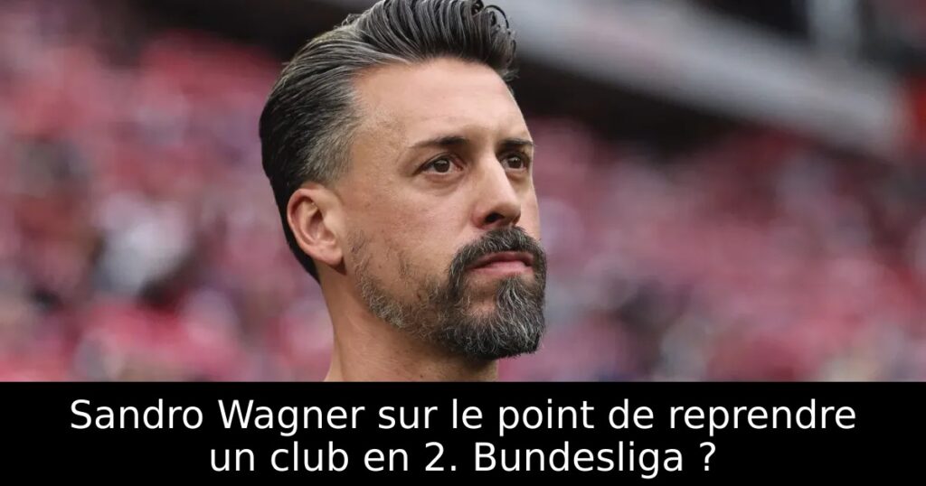 Sandro Wagner sur le point de reprendre un club en 2. Bundesliga ?